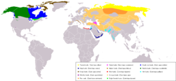 Wiki-Canis lupus.png